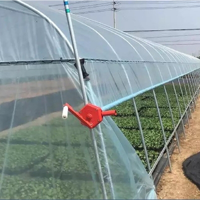 सब्जियों के पौधों के बढ़ने के लिए जस्ती स्टील फ्रेम टनल प्लास्टिक फिल्म ग्रीनहाउस