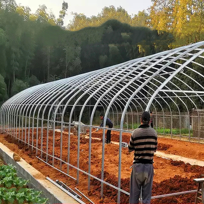 फसलों के लिए कृषि वाणिज्यिक औद्योगिक 12 मीटर चौड़ाई विरोधी यूवी पीई प्लास्टिक फिल्म ग्रीनहाउस