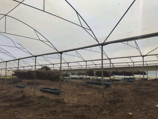 पोल्ट्री फार्म में प्रयुक्त कृषि प्लास्टिक गर्म ग्रीनहाउस बारिश से बचाते हैं