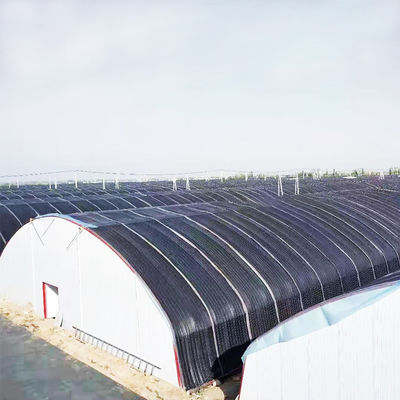 गांजा उगाने के लिए 10 मीटर * 100 मीटर हाइड्रोपोनिक लाइट डेप्रिवेशन ग्रीनहाउस