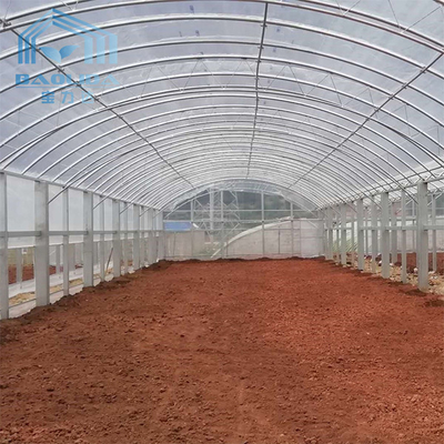 पॉली टनल स्टील फ्रेम डबल फिल्म के साथ कृषि प्लास्टिक सिंगल स्पैन ग्रीनहाउस