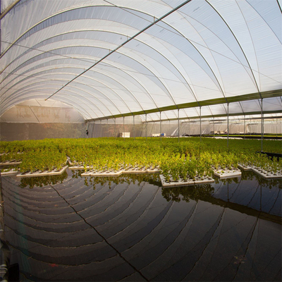 हाइड्रोपोनिक मेटल फ्रेम टनल सिंगल स्पैन ग्रीनहाउस कृषि खेती बढ़ रही है