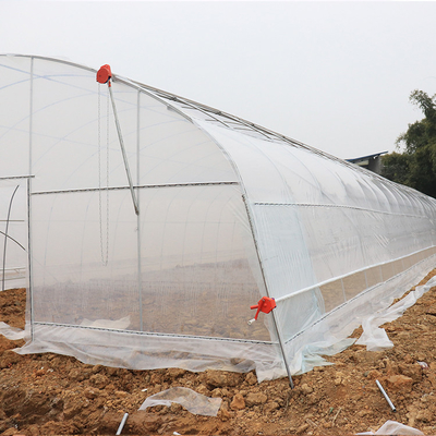 पौधों को उगाने के लिए 8m 9m चौड़ाई सिंगल स्पैन वर्टिकल टनल प्लास्टिक ग्रीनहाउस